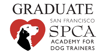 A dog trainer is looking for new recruits.