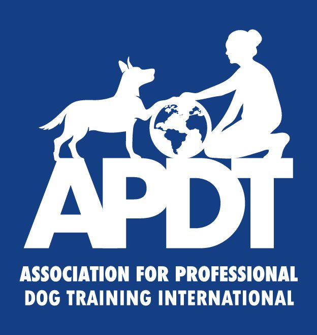 APDT International logo banner